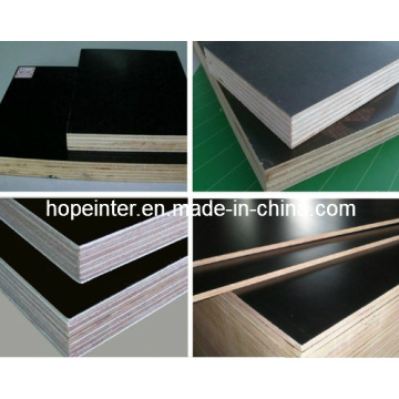 Black Brown Hardwood Film Faced Plywood